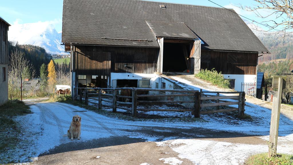 Haus Galler - Urlaub Am Bauernhof Bad Aussee Zewnętrze zdjęcie