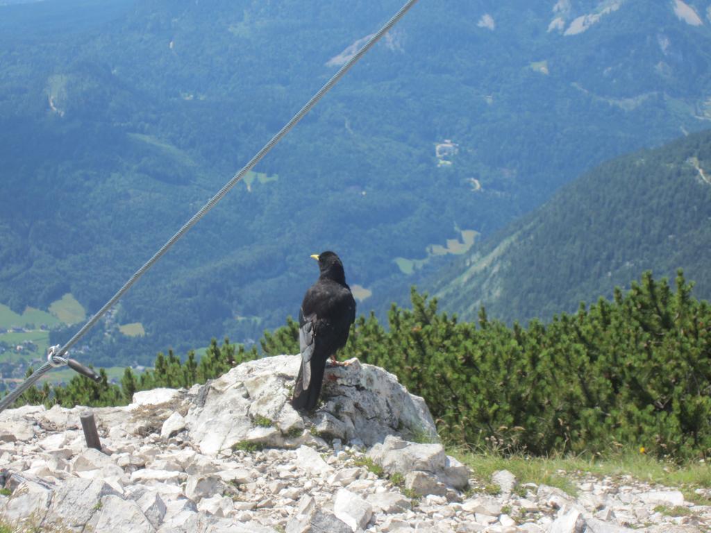 Haus Galler - Urlaub Am Bauernhof Bad Aussee Zewnętrze zdjęcie