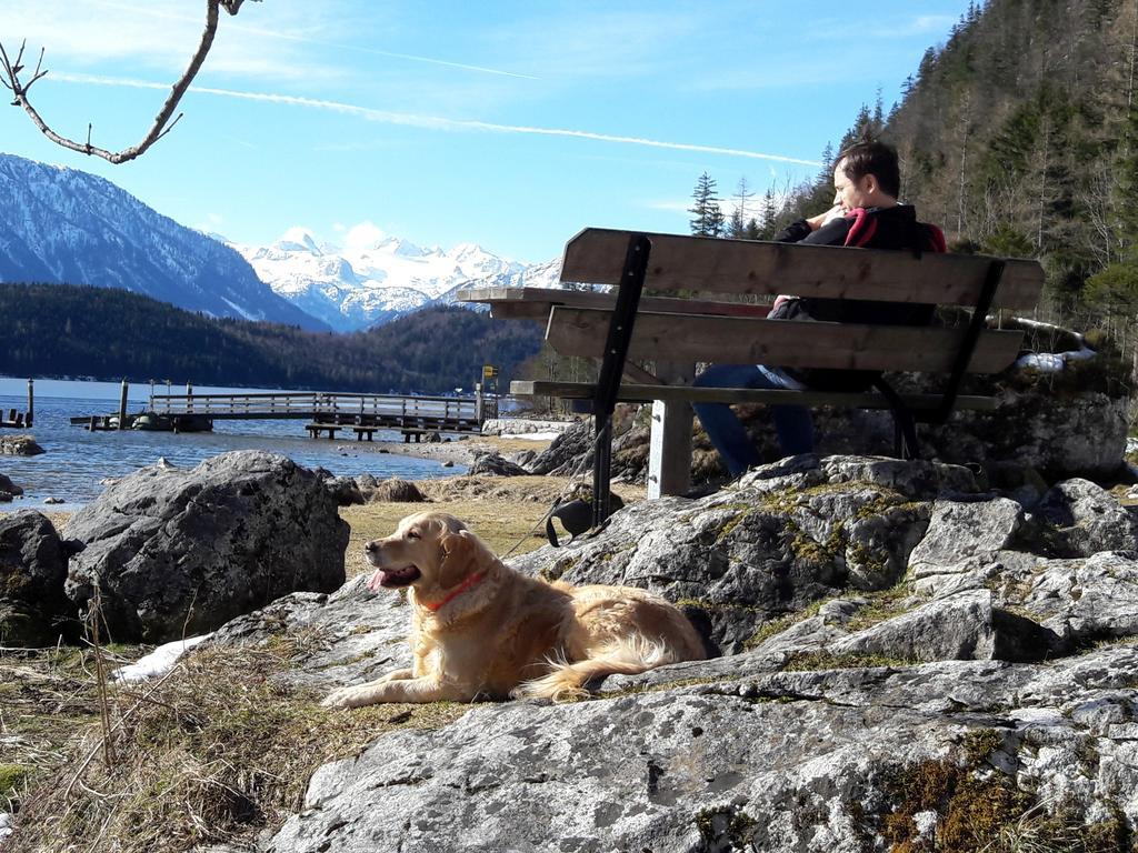 Haus Galler - Urlaub Am Bauernhof Bad Aussee Zewnętrze zdjęcie